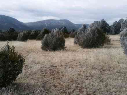 Vacant Land For Sale - Varela Garcia Dr. <br/> Pecos, NM 87552