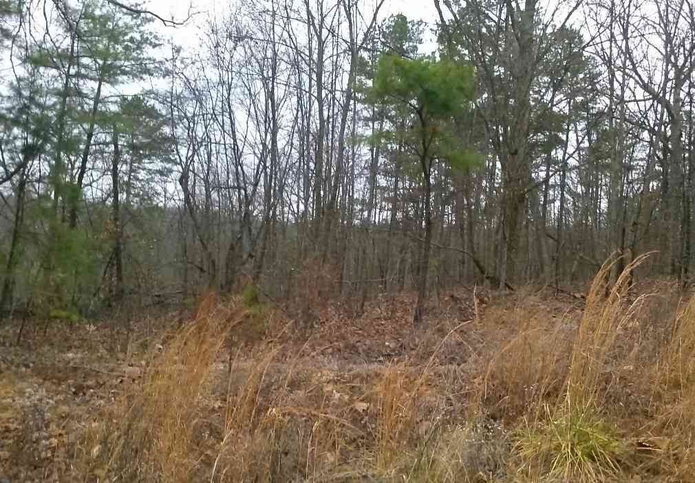 Vacant Land For Sale - Cork<br/> Rome, GA 30161