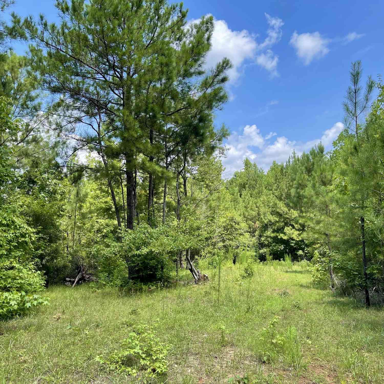 Vacant Land For Sale - 460 Welcome To Arnco Road<br/> Newnan, GA 30263