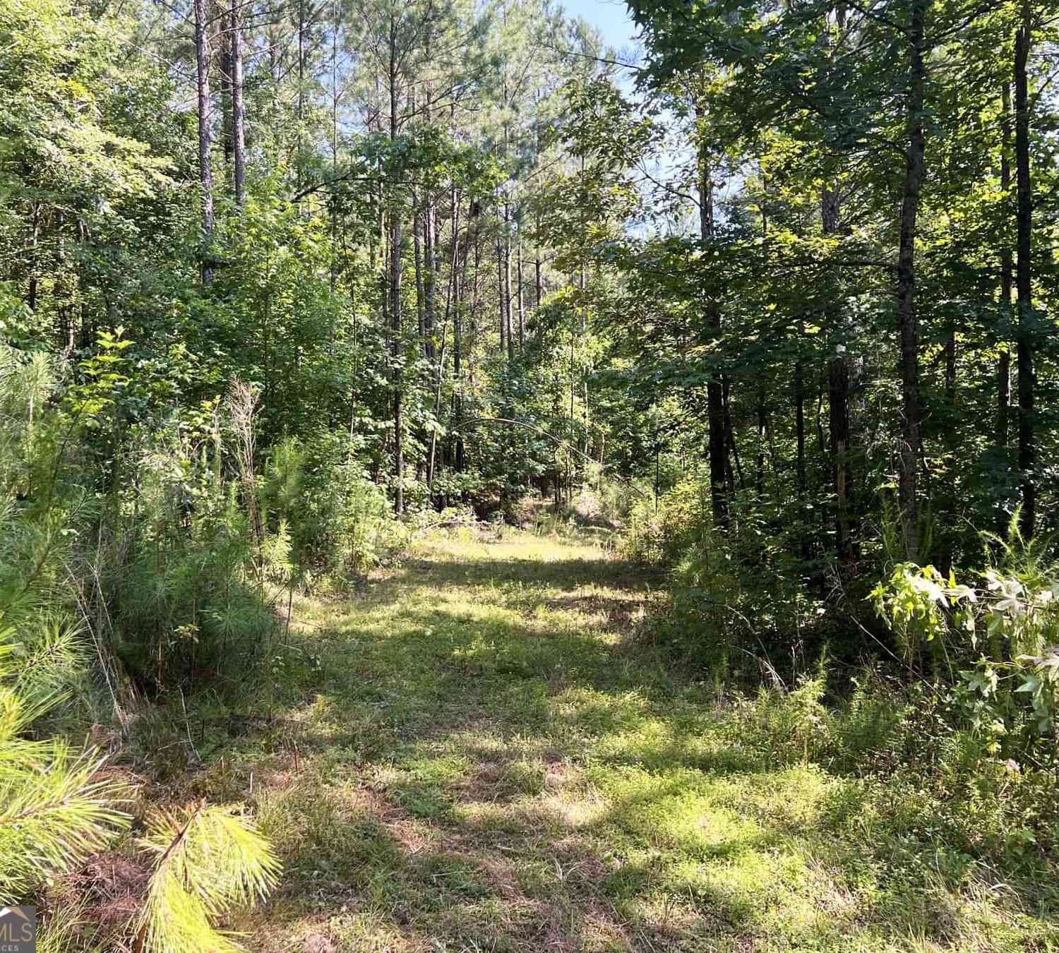 Vacant Land For Sale - Booger Hollow Road<br/> Rome, GA 30161