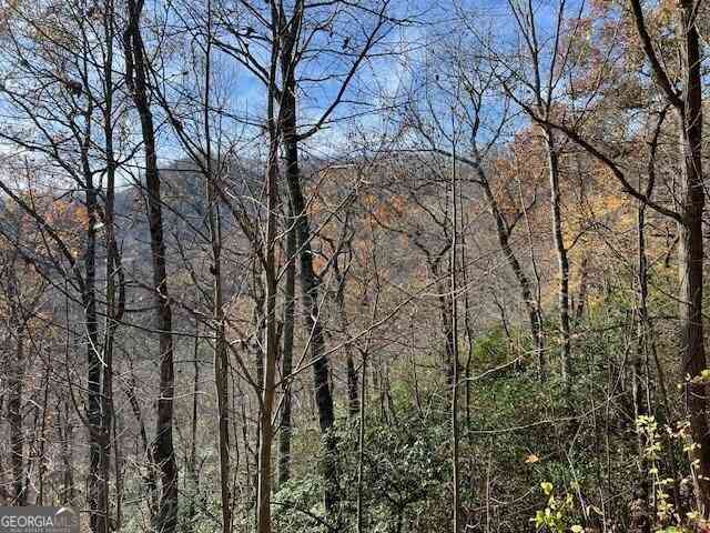 Vacant Land For Sale - LOT 19 The Highlands At Hightower Ridge<br/> Hiawassee, GA 30546