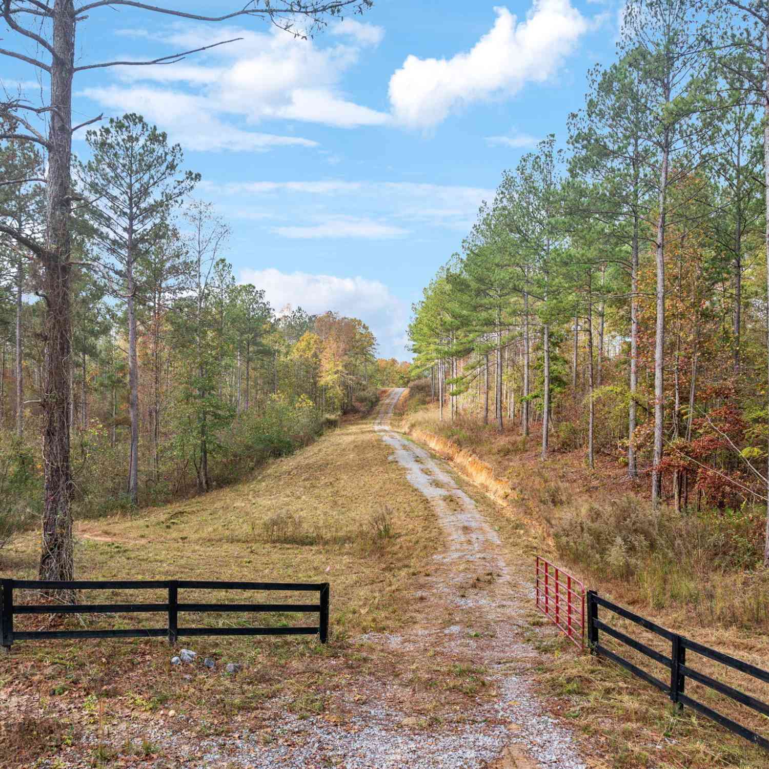 Vacant Land For Sale - Josh Ward Road<br/> Summerville, GA 30747