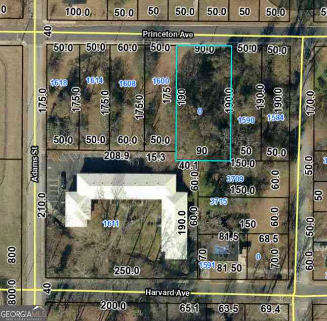 Vacant Land For Sale - 1590 Princeton Avenue<br/> Fulton County, College Park, GA 30337