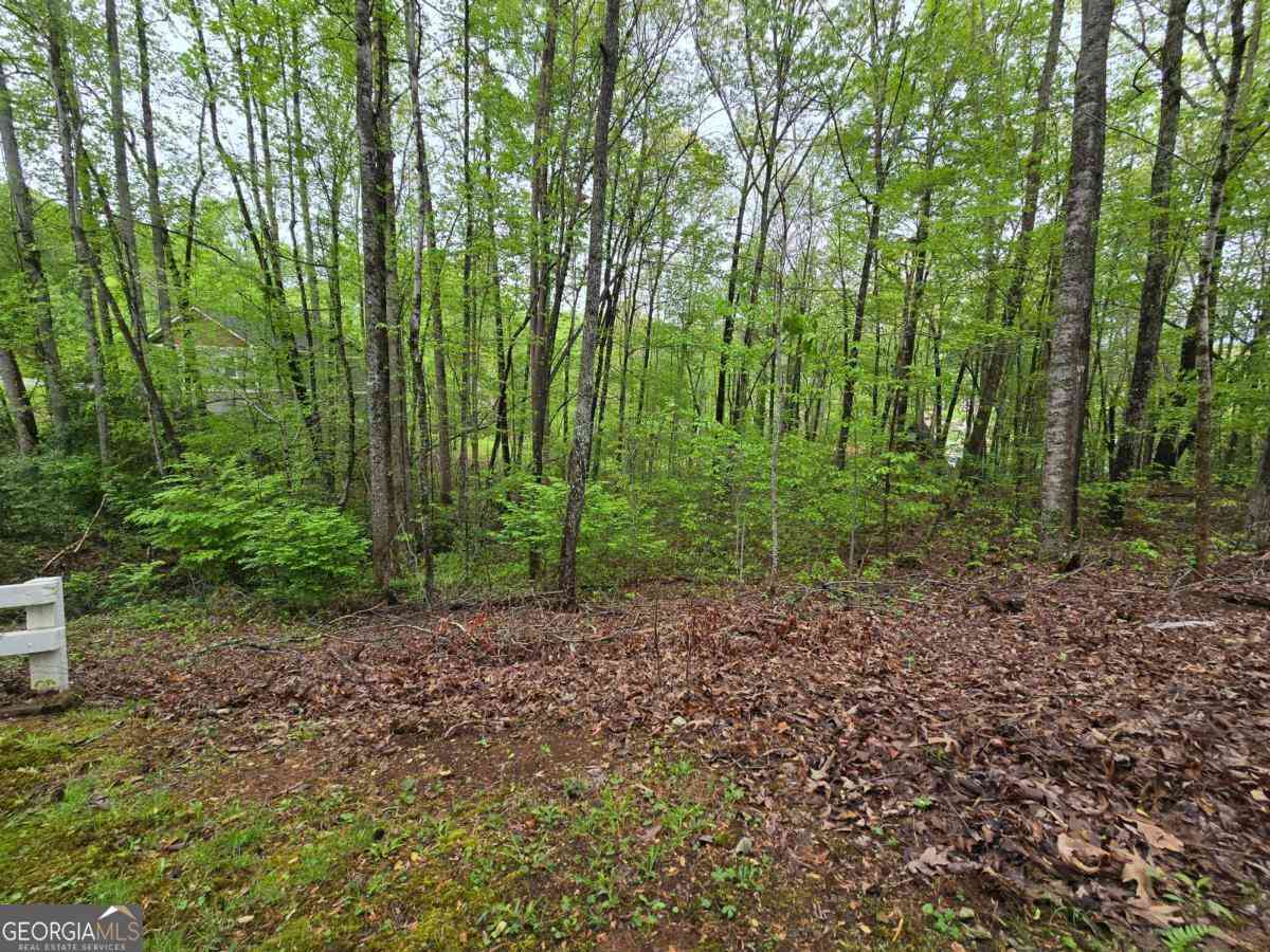 Vacant Land For Sale - LOT 69 Chatuge Village<br/> Hayesville, NC 28904