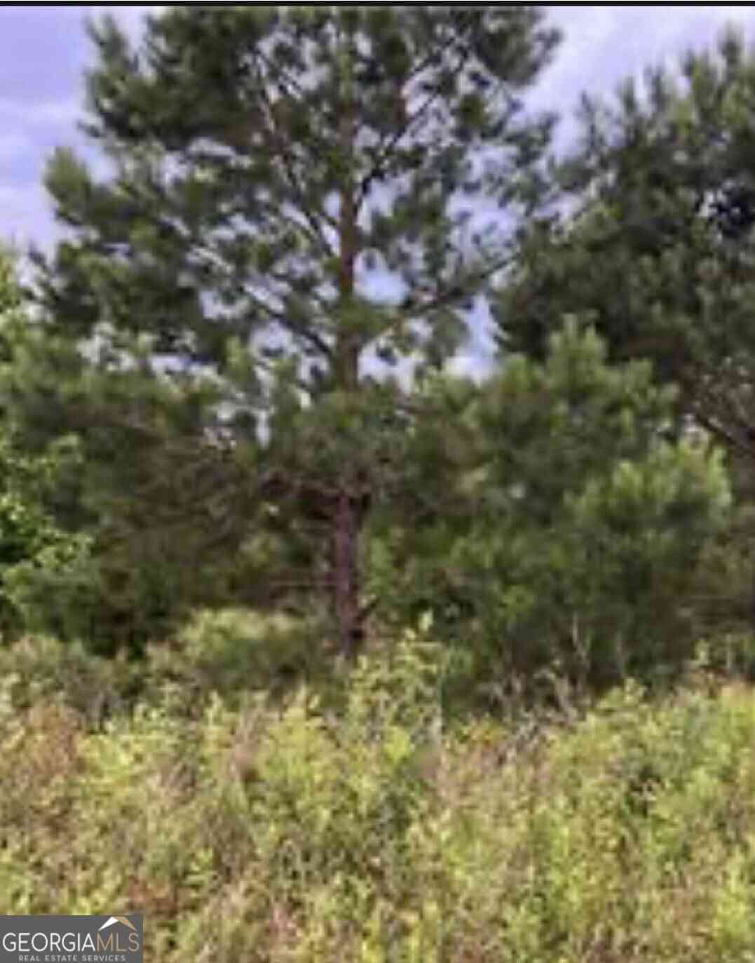 Vacant Land For Sale - Sandy Lane<br/> Hawkinsville, GA 31036
