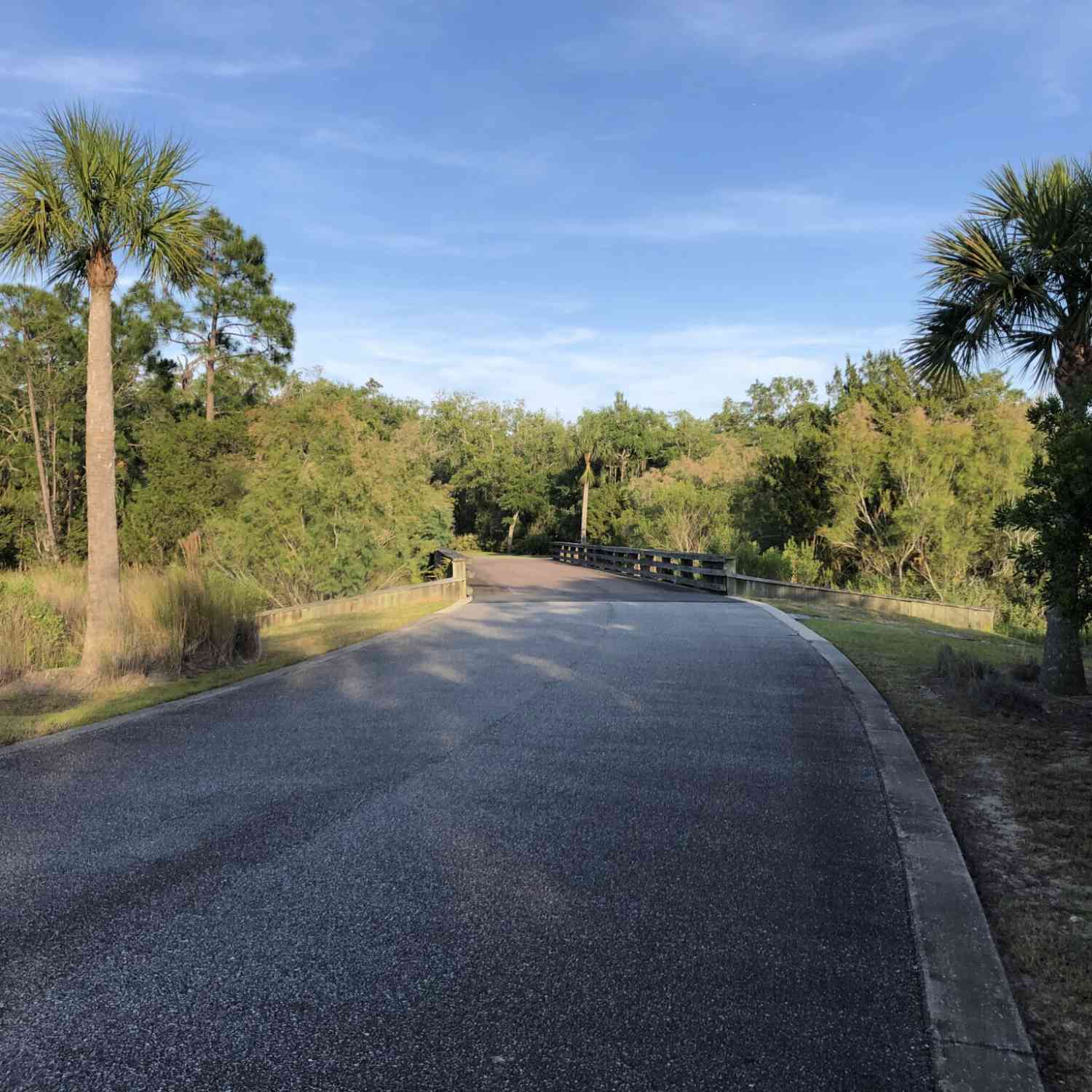 Vacant Land For Sale - 105 Navigator Way<br/> Waverly, GA 31565