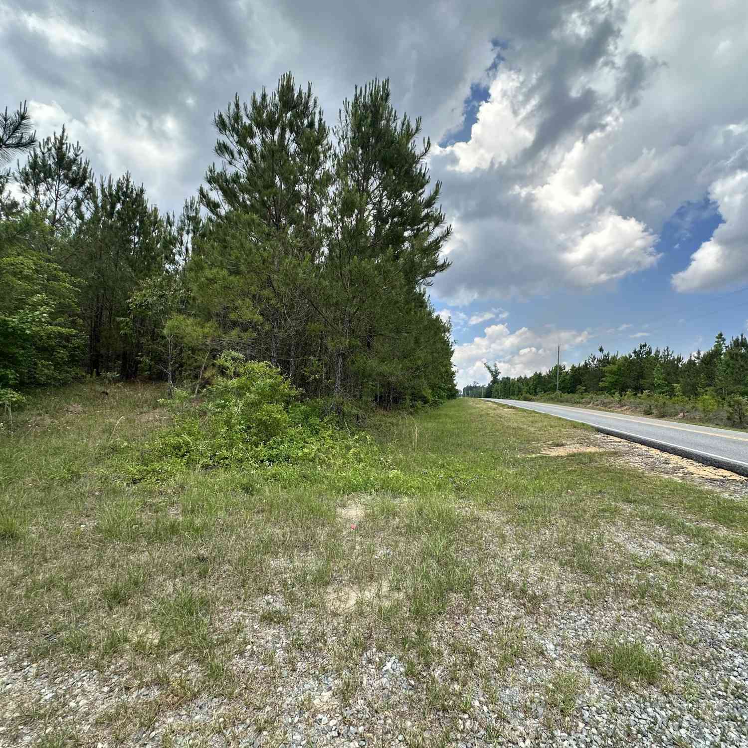 Vacant Land For Sale - 1980 Rock Springs Road<br/> Dublin, GA 31021