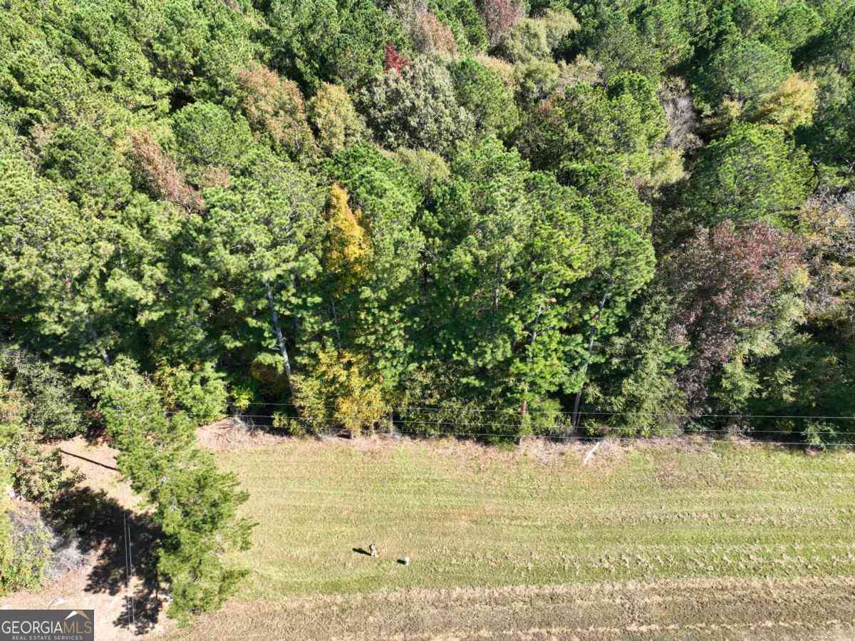 Vacant Land For Sale - 3171 Salem Road<br/> Watkinsville, GA 30677