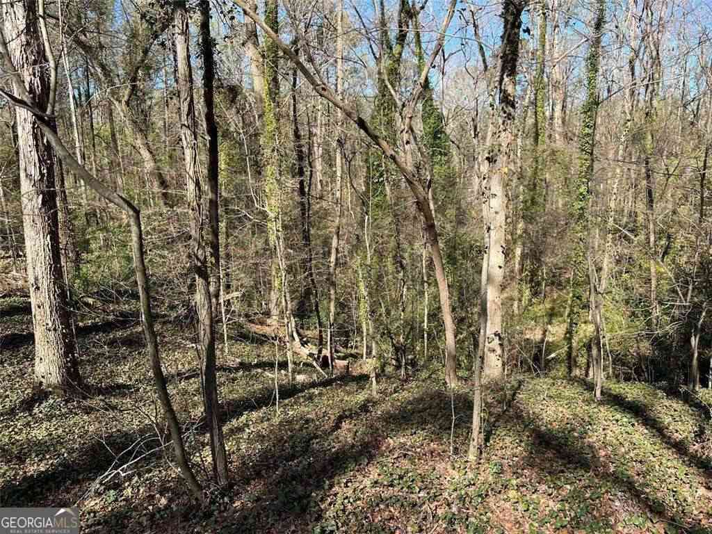 Vacant Land For Sale - 2455 Dodson Drive<br/> Atlanta, GA 30344