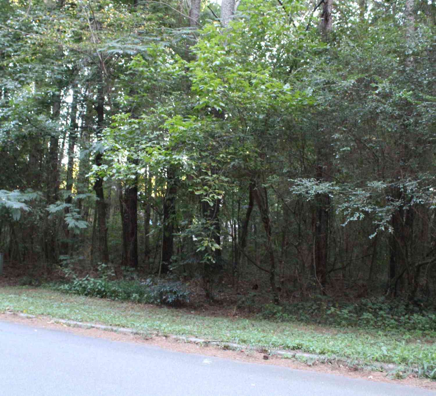 Vacant Land For Sale - 5743 Tunbridge Wells Road<br/> Lithonia, GA 30058
