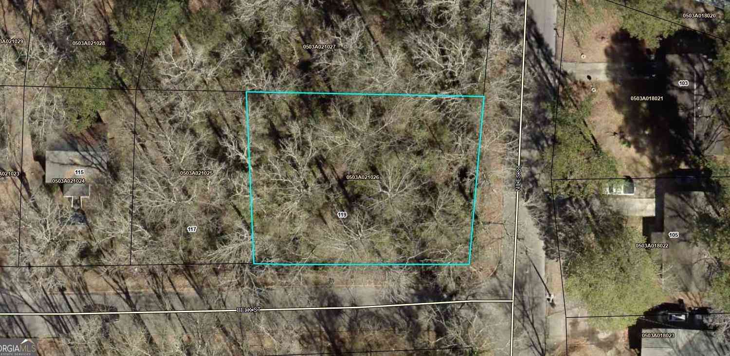 Vacant Land For Sale - 119 Belk Street<br/> Lagrange, GA 30240