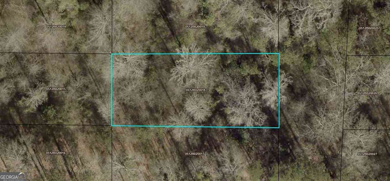 Vacant Land For Sale - Boggs Street<br/> Lagrange, GA 30240
