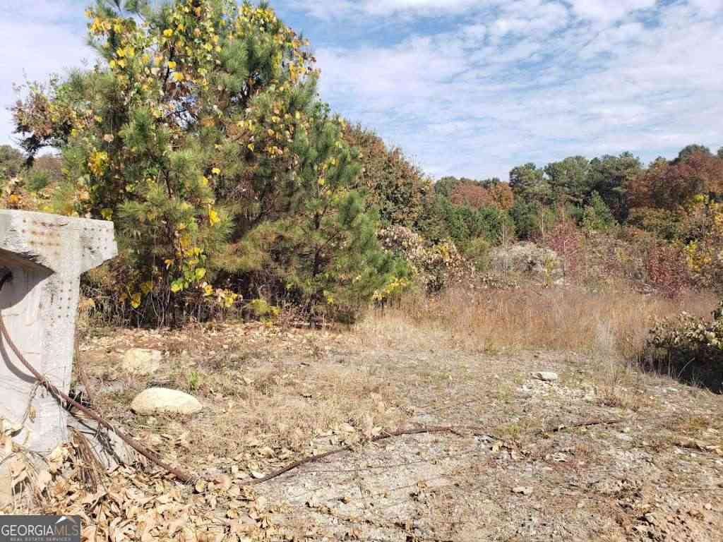 Vacant Land For Sale - 3340 Hwy 92 Fairburn Road<br/> Douglasville, GA 30135