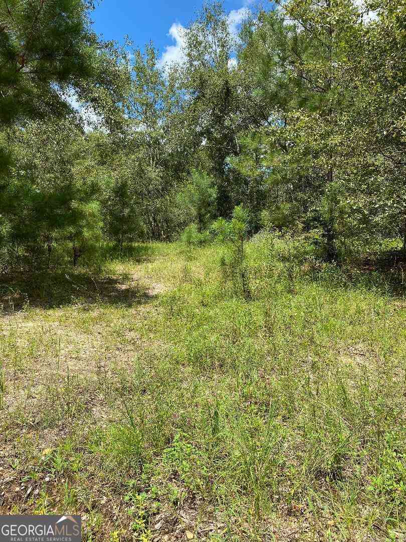 Vacant Land For Sale - Mt Zion Church Road<br/> Emanuel County, Garfield, GA 30425