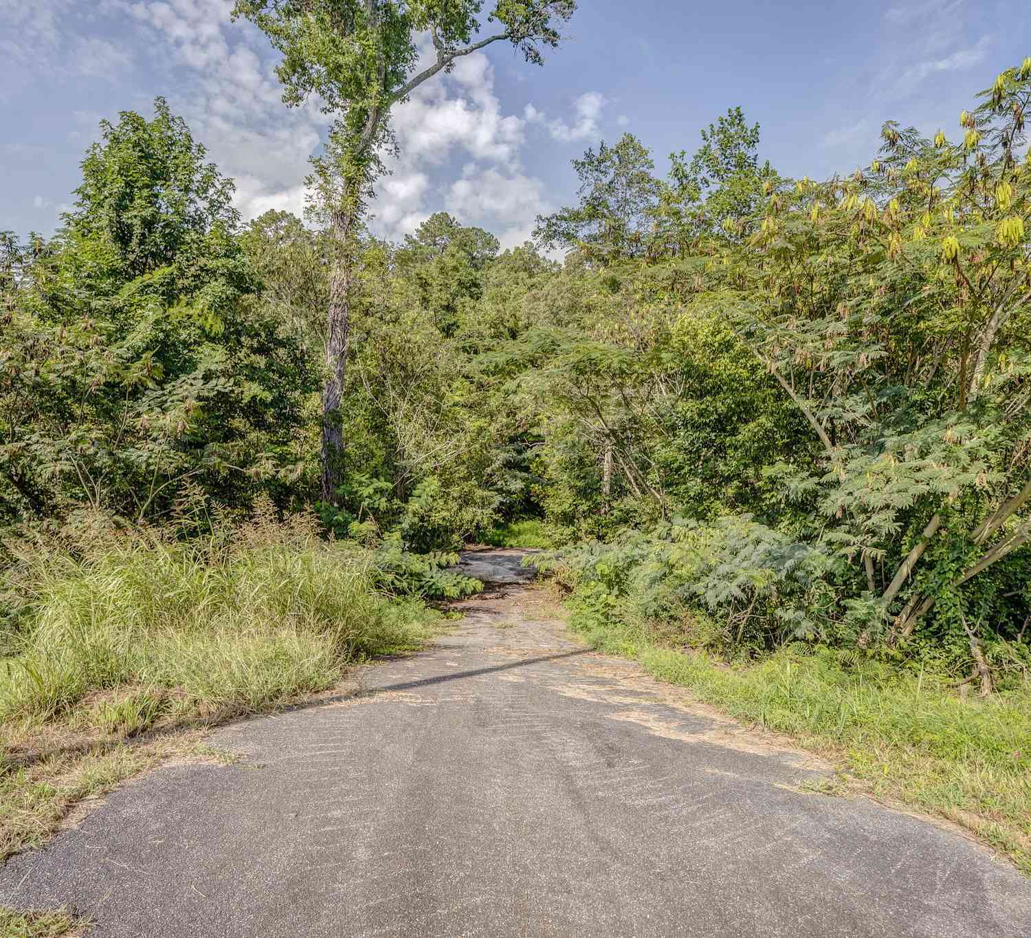 Vacant Land For Sale - Alabama Highway<br/> Rome, GA 30165