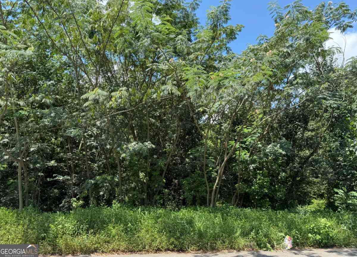 Vacant Land For Sale - Beeler Drive SW<br/> Atlanta, GA 30315