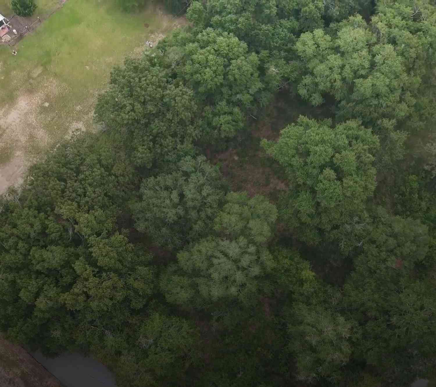 Vacant Land For Sale - E Franklin Avenue<br/> Hawkinsville, GA 31036