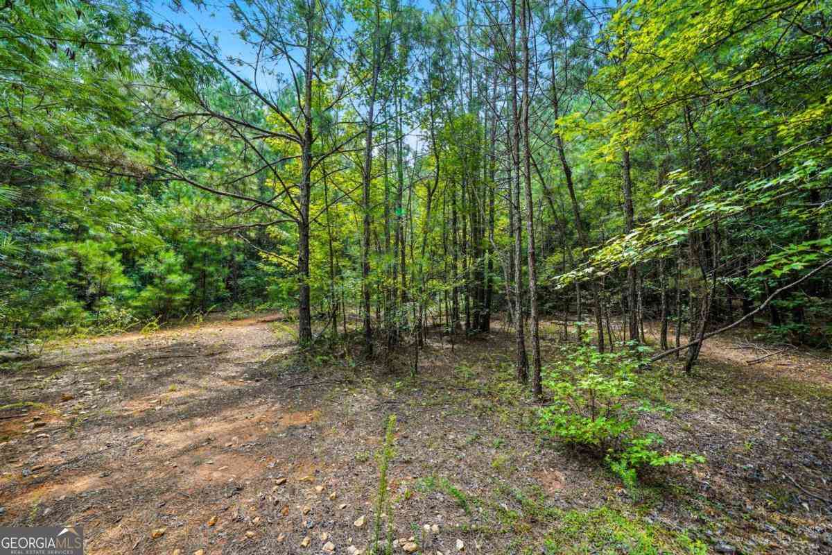 Vacant Land For Sale - Sleepy Hollow Drive<br/> Powder Springs, GA 30127