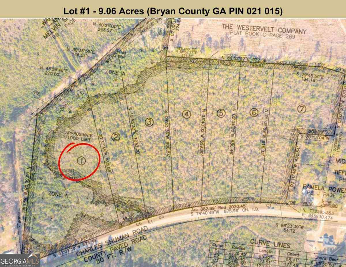 Vacant Land For Sale - LOT 1 Charles Shuman Road<br/> Pembroke, GA 31321