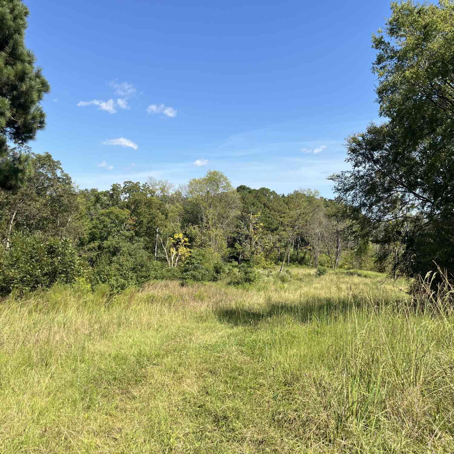 Vacant Land For Sale - 140 Peninsula Avenue<br/> Bibb County, Macon, GA 31220
