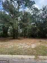 Vacant Land For Sale - 86 Marsh Creek Boulevard<br/> Waverly, GA 31565
