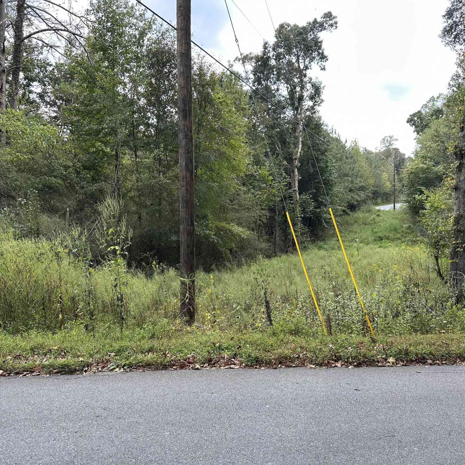 Vacant Land For Sale - Hwy 101 And Dean Road<br/> Aragon, GA 30104