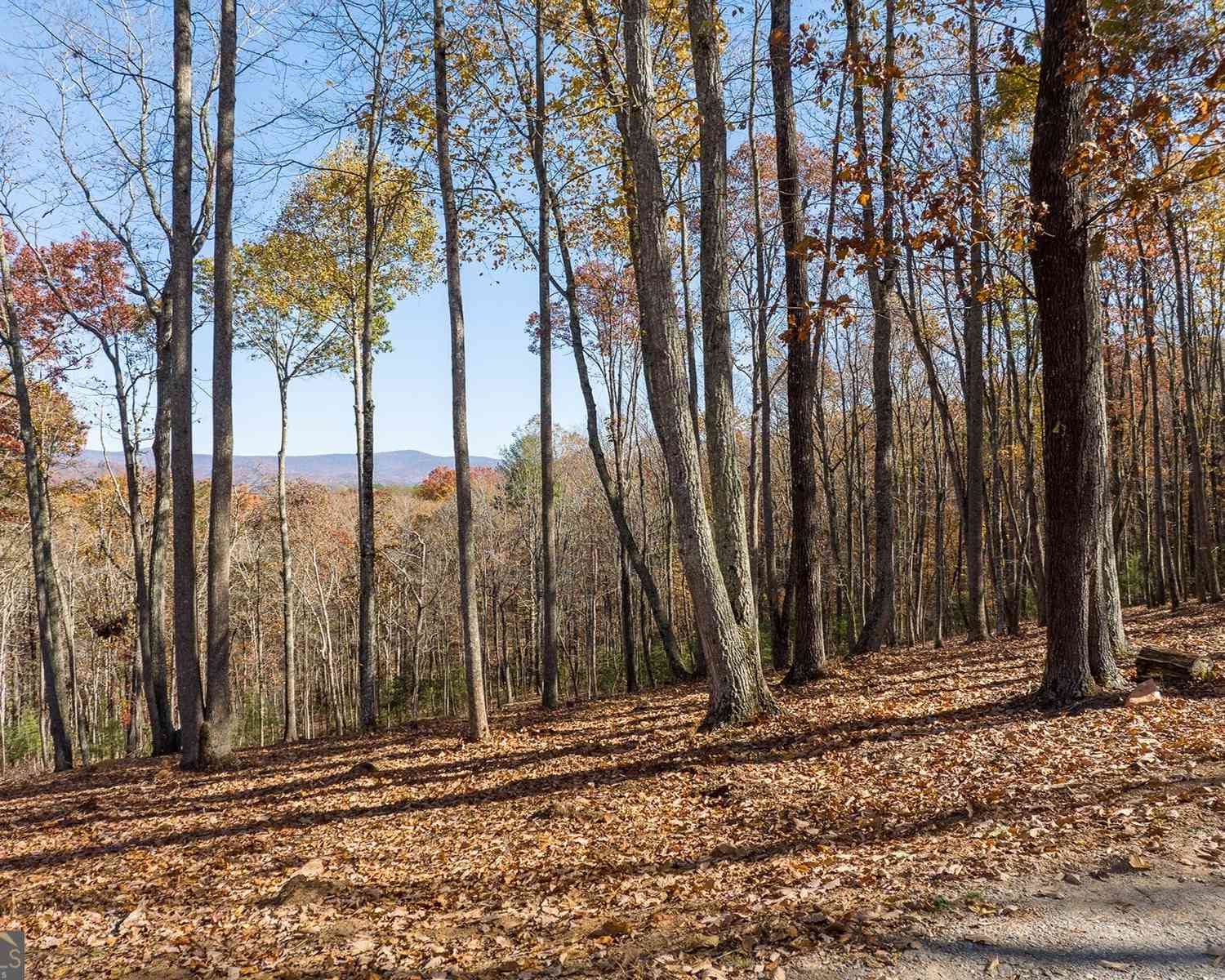 Vacant Land For Sale - 19R Settlement Trail<br/> Ellijay, GA 30536