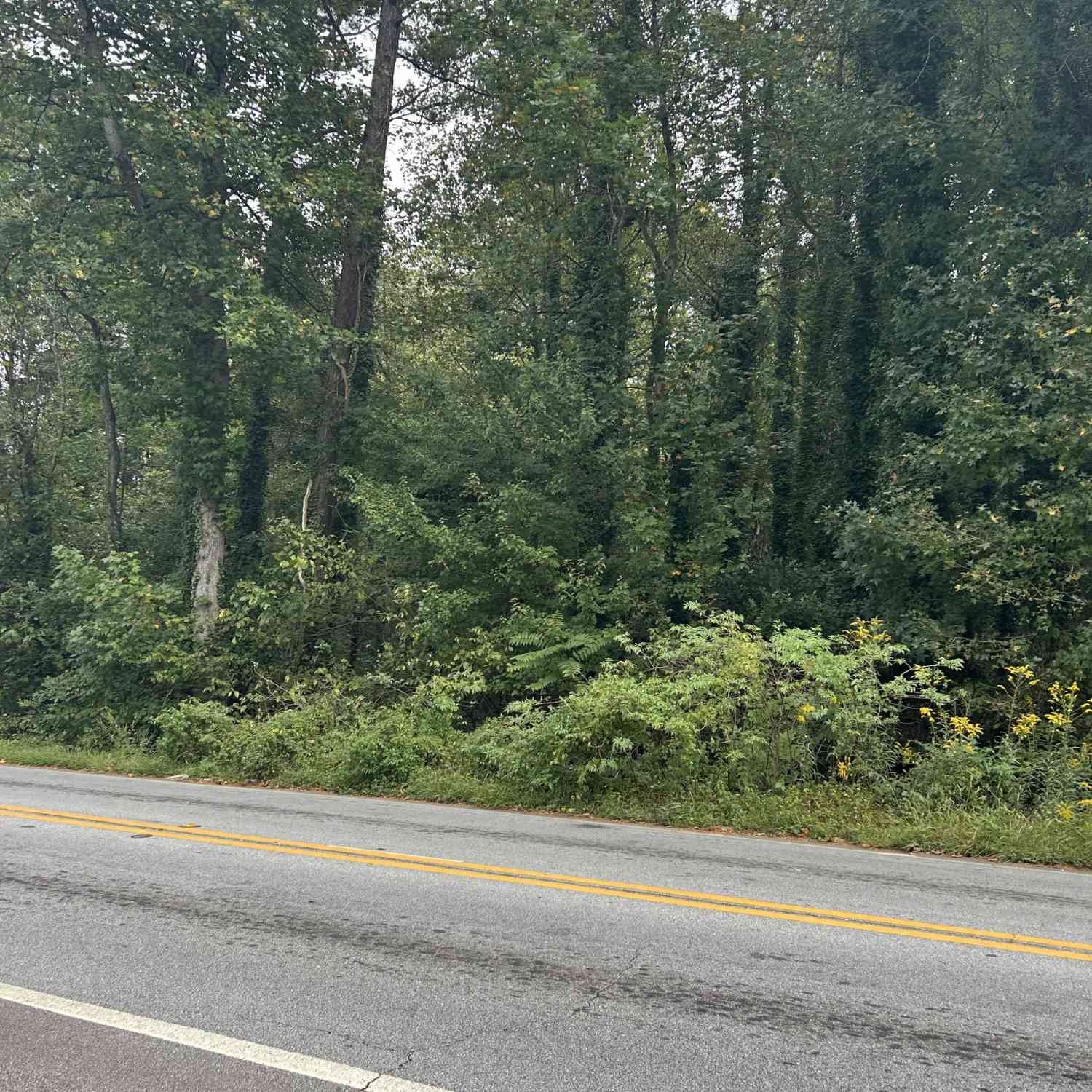 Vacant Land For Sale - Anderson Terrace<br/> Snellville, GA 30039