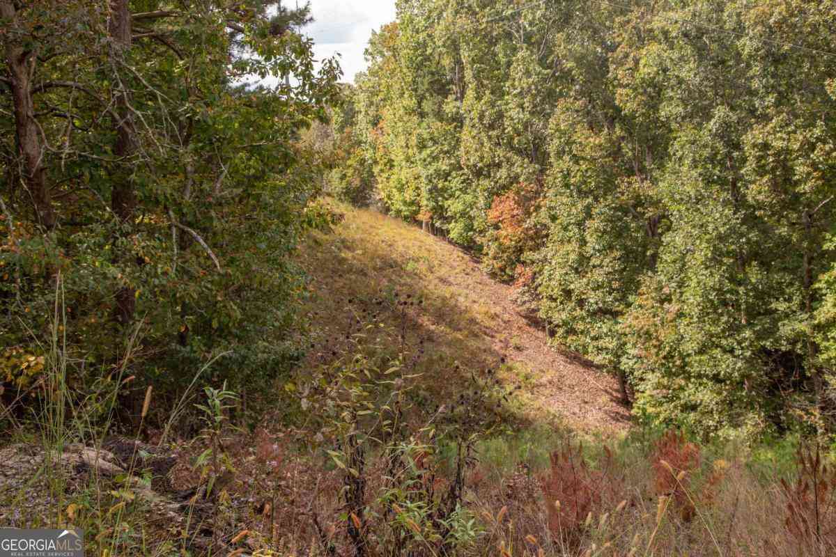 Vacant Land For Sale - 3831 Skyline Drive<br/> Gainesville, GA 30501