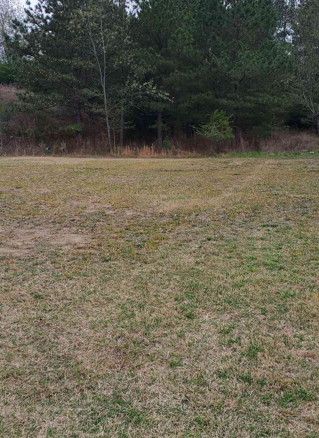 Vacant Land For Sale - 1388 Greencrest Court<br/> Lawrenceville, GA 30045