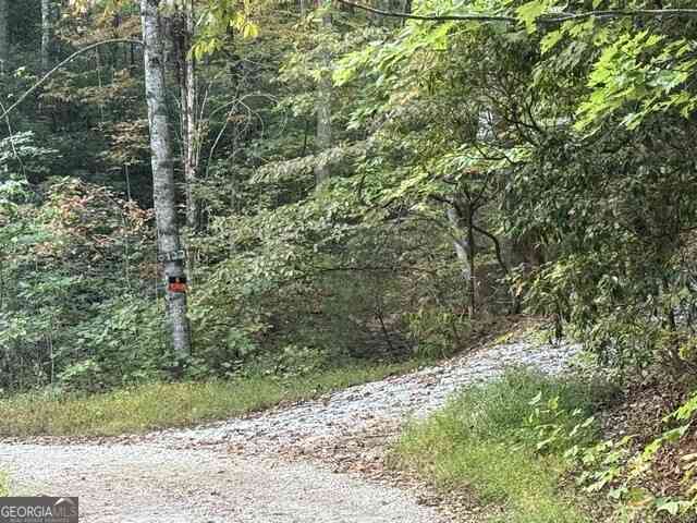 Vacant Land For Sale - Wood Sorrel Lane #LOT 727/726<br/> Clayton, GA 30525