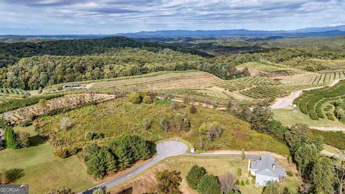 Vacant Land For Sale - LOT 22 Ridgemont Lane<br/> Ellijay, GA 30536