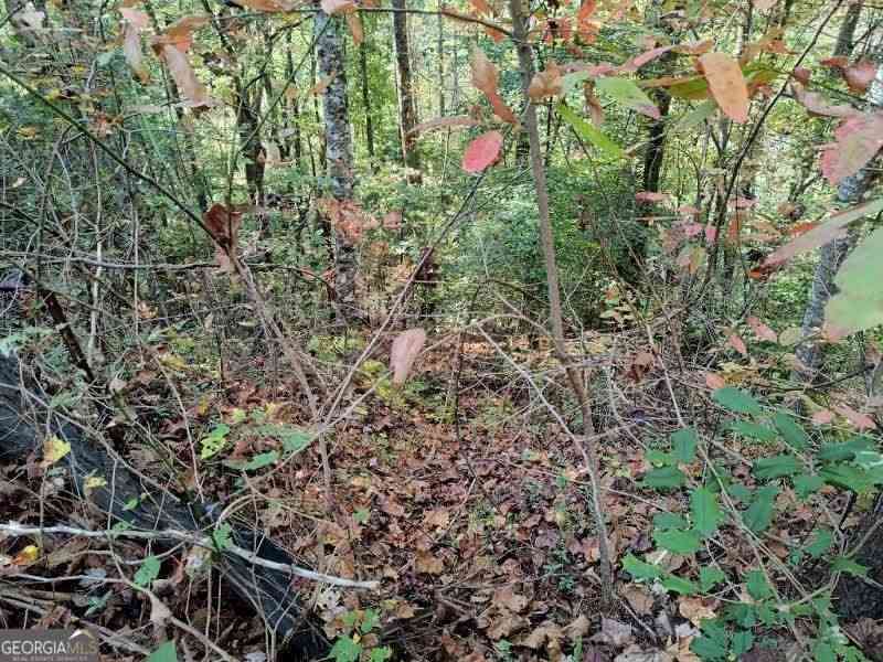 Vacant Land For Sale - LOT 95 Cedar Road #95<br/> Ellijay, GA 30540