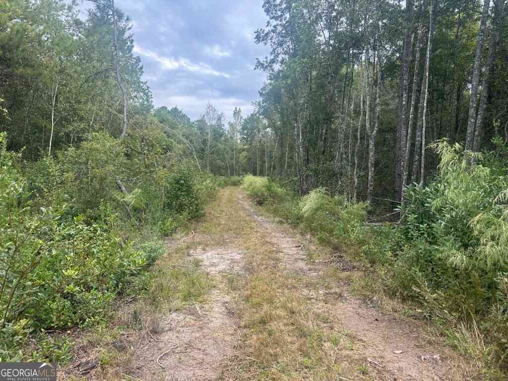 Vacant Land For Sale - Lowground Road<br/> Guyton, GA 31312