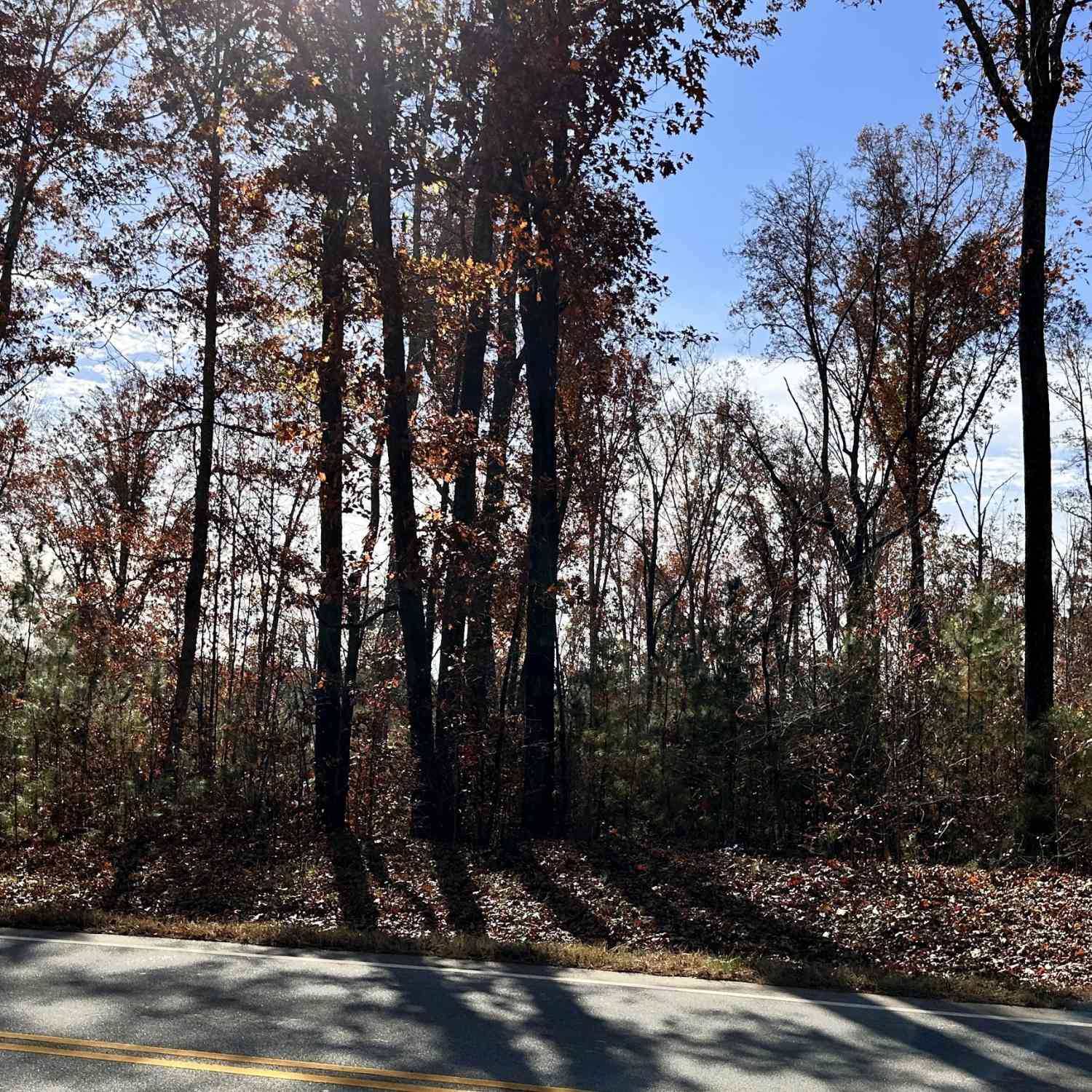 Vacant Land For Sale - 43 ACRES Ivey Springs<br/> Dallas, GA 30132