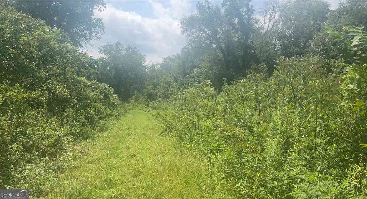 Vacant Land For Sale - Woody Road<br/> Adairsville, GA 30103