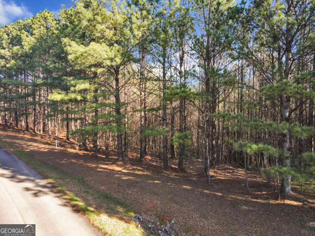 Vacant Land For Sale - Foxpaw Leaf Lane #38<br/> Ellijay, GA 30536