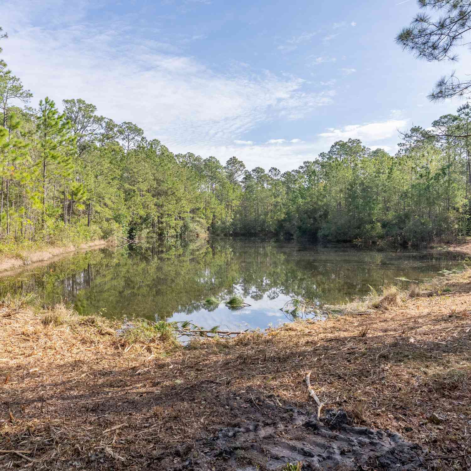 Vacant Land For Sale - TRACT 2 Us Highway 17, Sanderling Trace<br/> Waverly, GA 31565