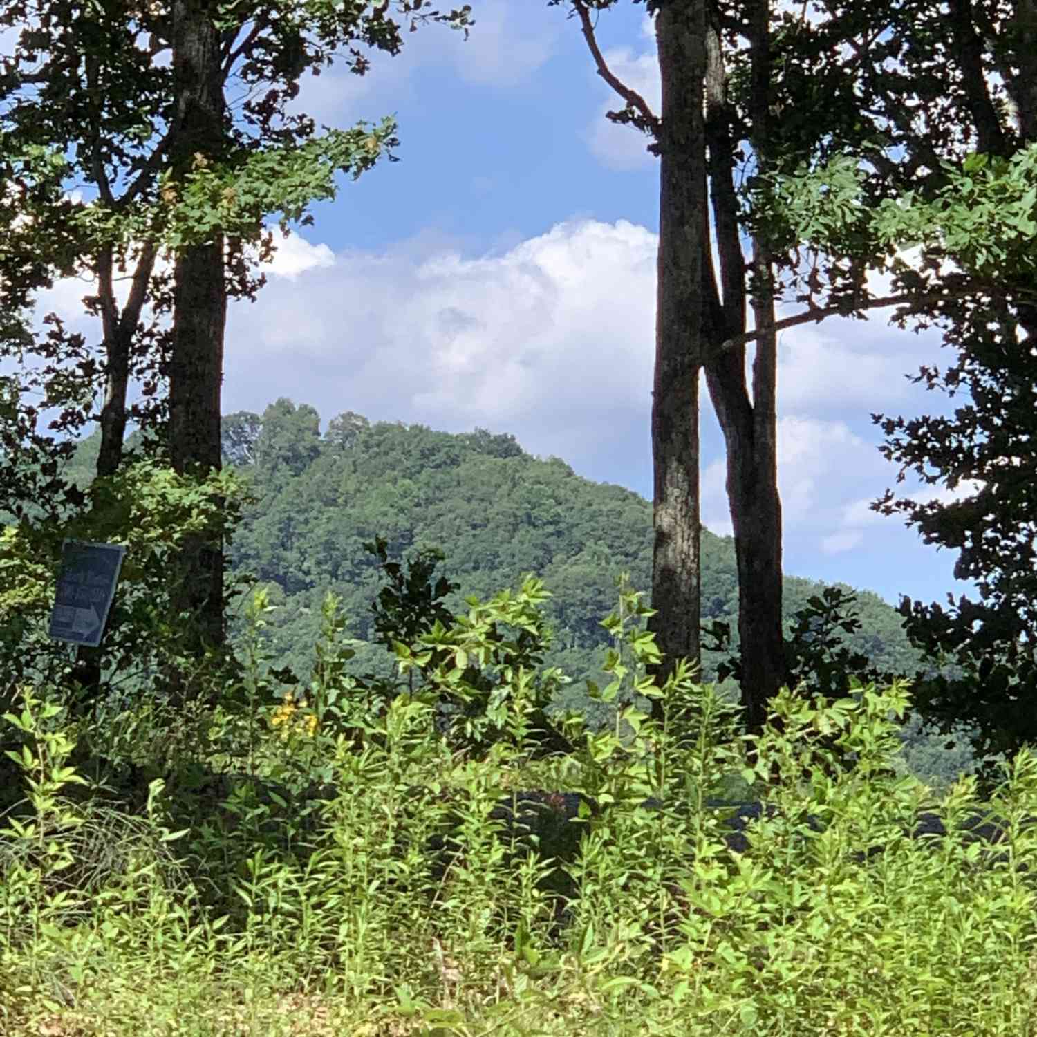 Vacant Land For Sale - 2046 Amy Creek Circle #34<br/> Ellijay, GA 30540