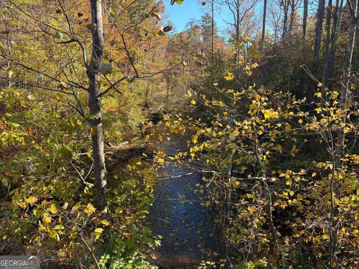Vacant Land For Sale - Cowart<br/> Dawson County, Dawsonville, GA 30534