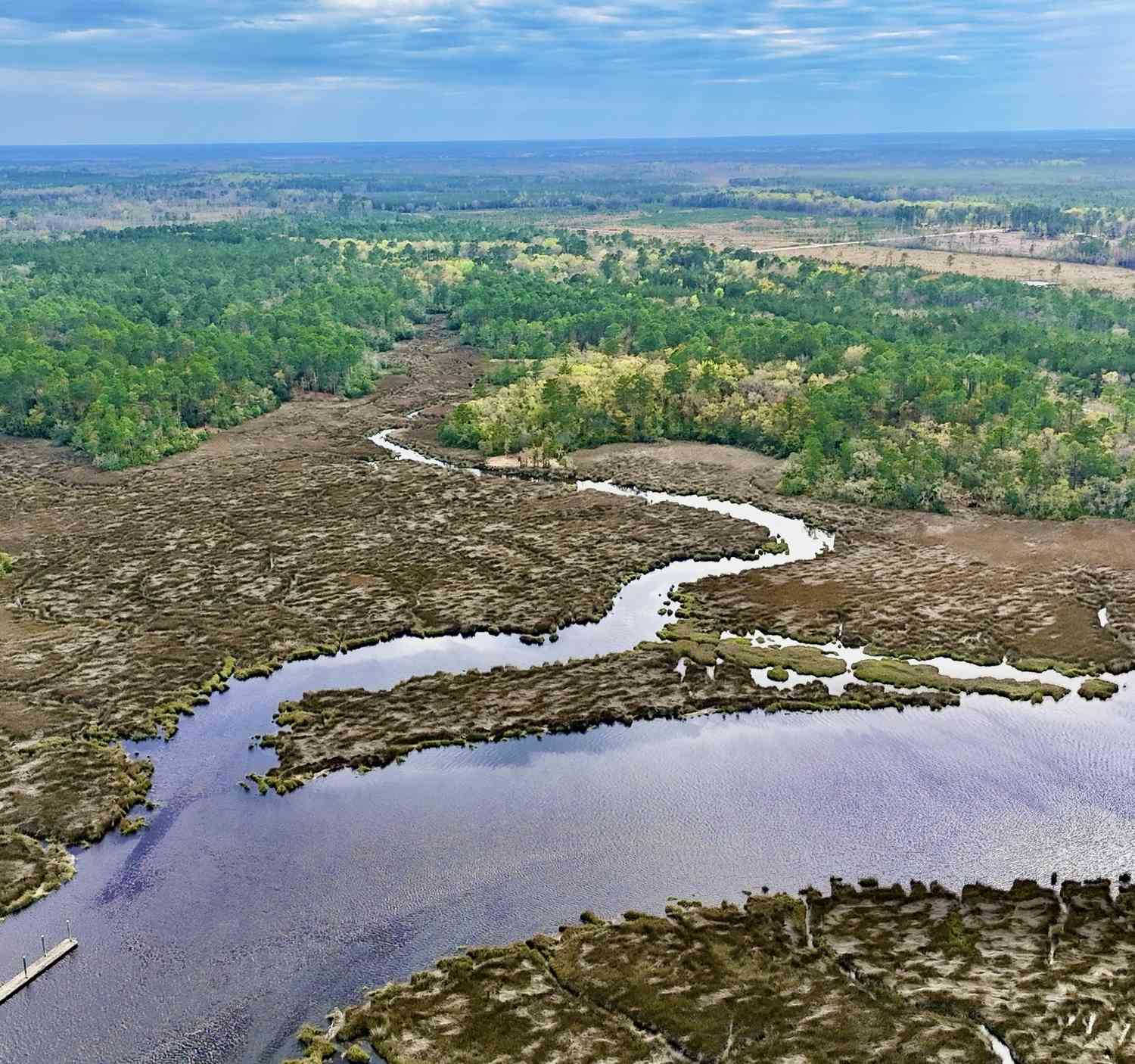 Vacant Land For Sale - TRACT 1 Us Highway 17, Sanderling Trace<br/> Waverly, GA 31565
