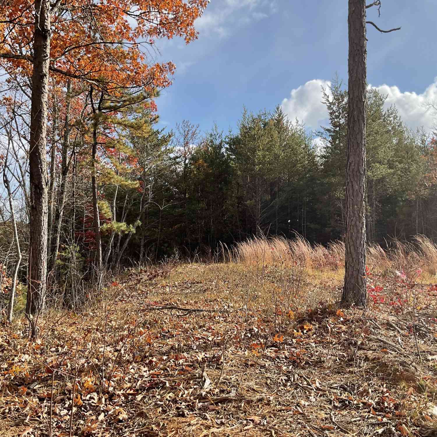 Vacant Land For Sale - Lynn Drive<br/> Clayton, GA 30525