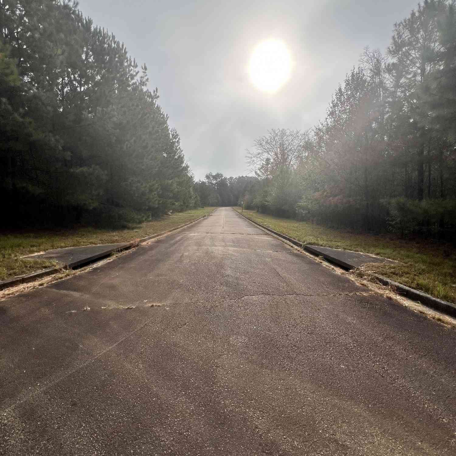 Vacant Land For Sale - St Lucia Sunrise<br/> Conyers, GA 30094