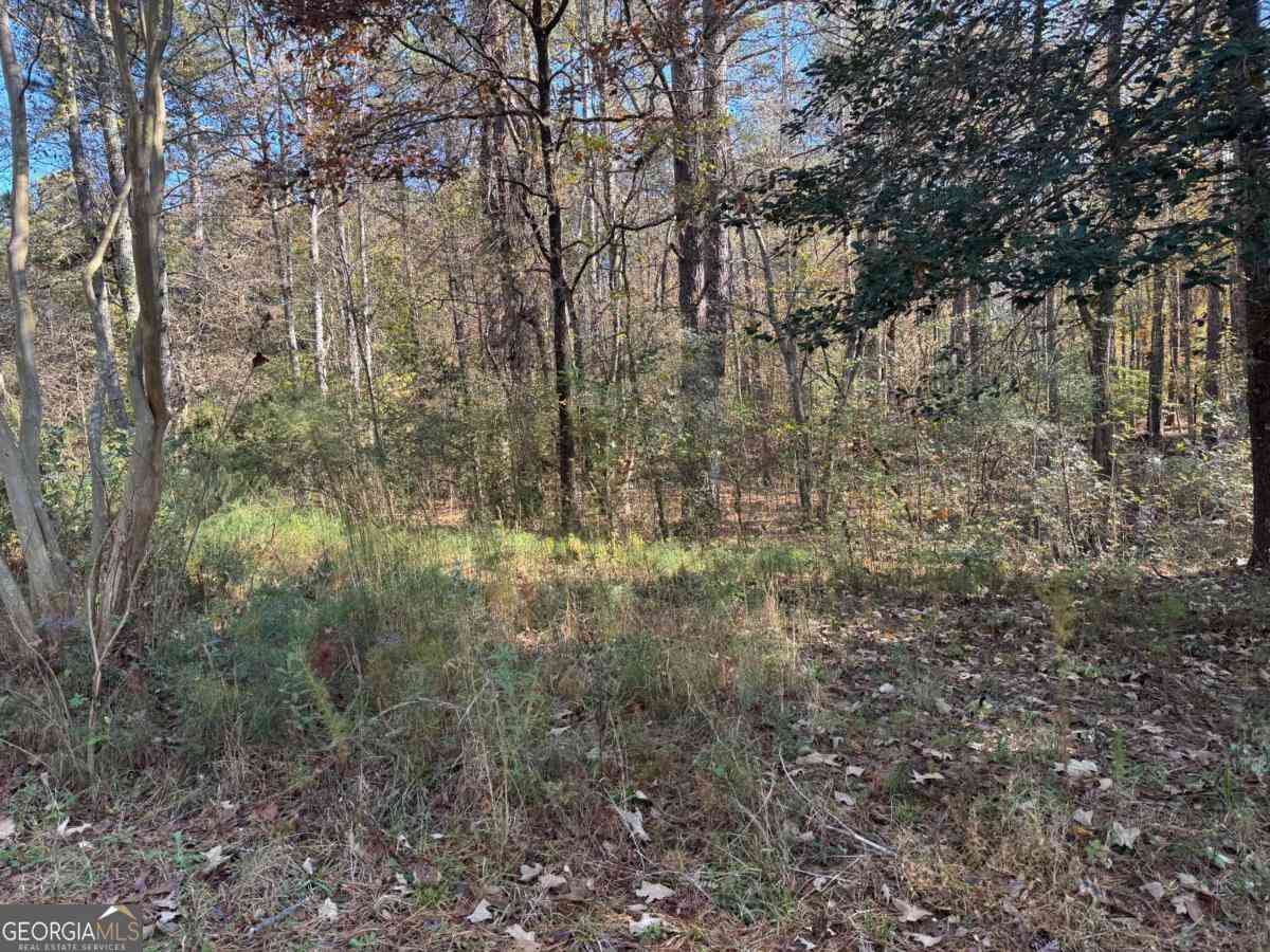 Vacant Land For Sale - 2750 Burnt Hickory Road NW<br/> Marietta, GA 30064