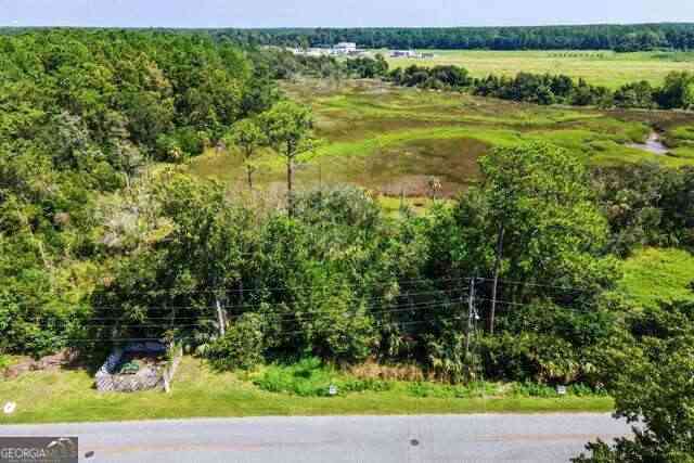 Vacant Land For Sale - LOT 4B Dufour Road<br/> Saint Marys, GA 31558