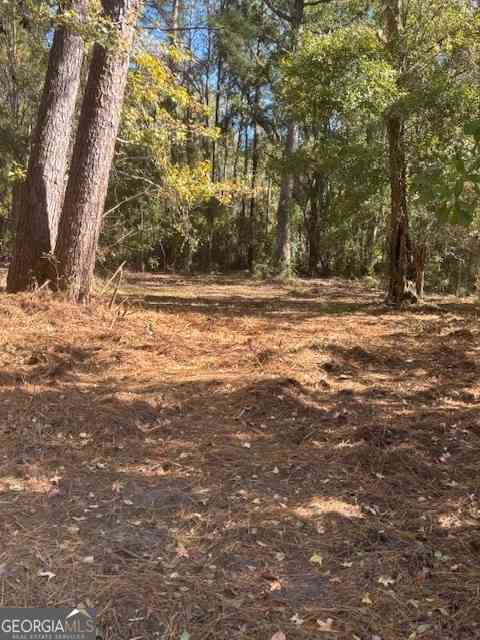 Vacant Land For Sale - 136 Herrin Road<br/> Woodbine, GA 31569