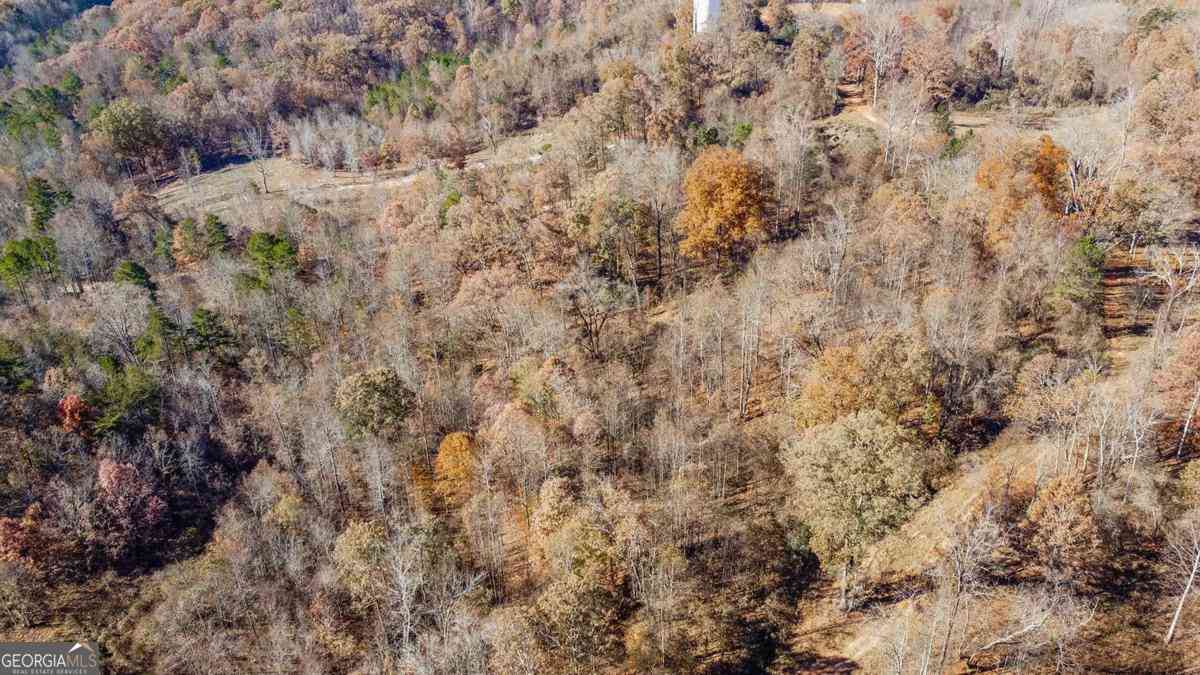Vacant Land For Sale - Auraria Road<br/> Dawson County, Dawsonville, GA 30534
