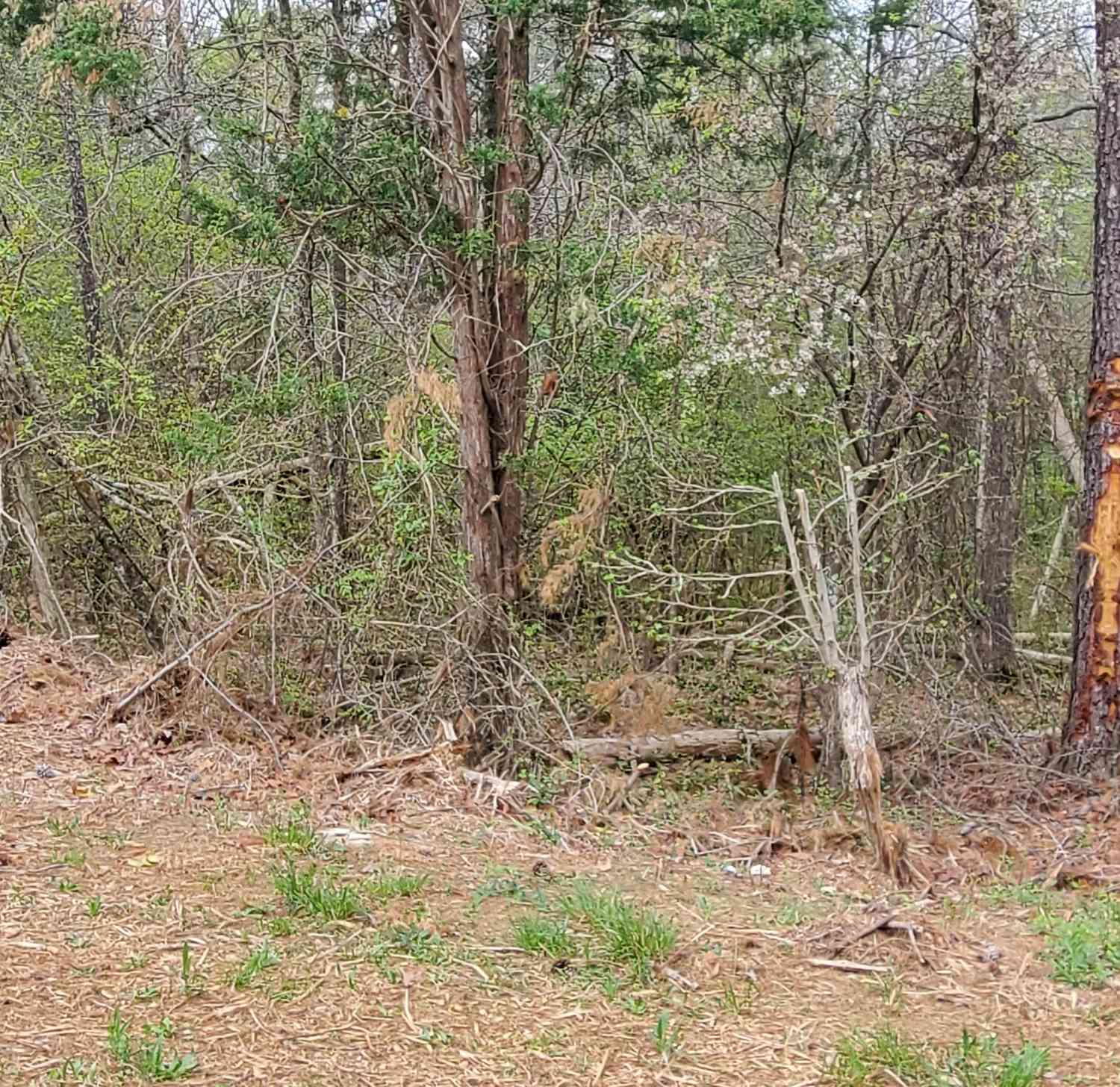 Vacant Land For Sale - 4662 Ridgeland Drive SW<br/> Lilburn, GA 30047