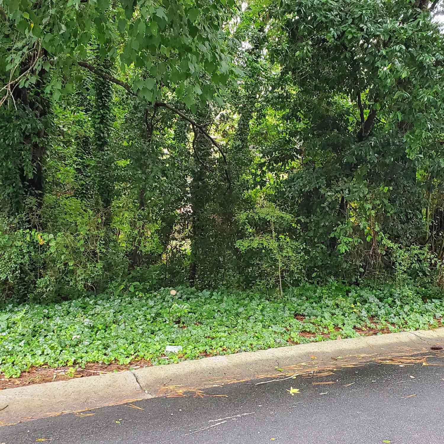 Vacant Land For Sale - 701 Springhollow Lane SW<br/> Marietta, GA 30008