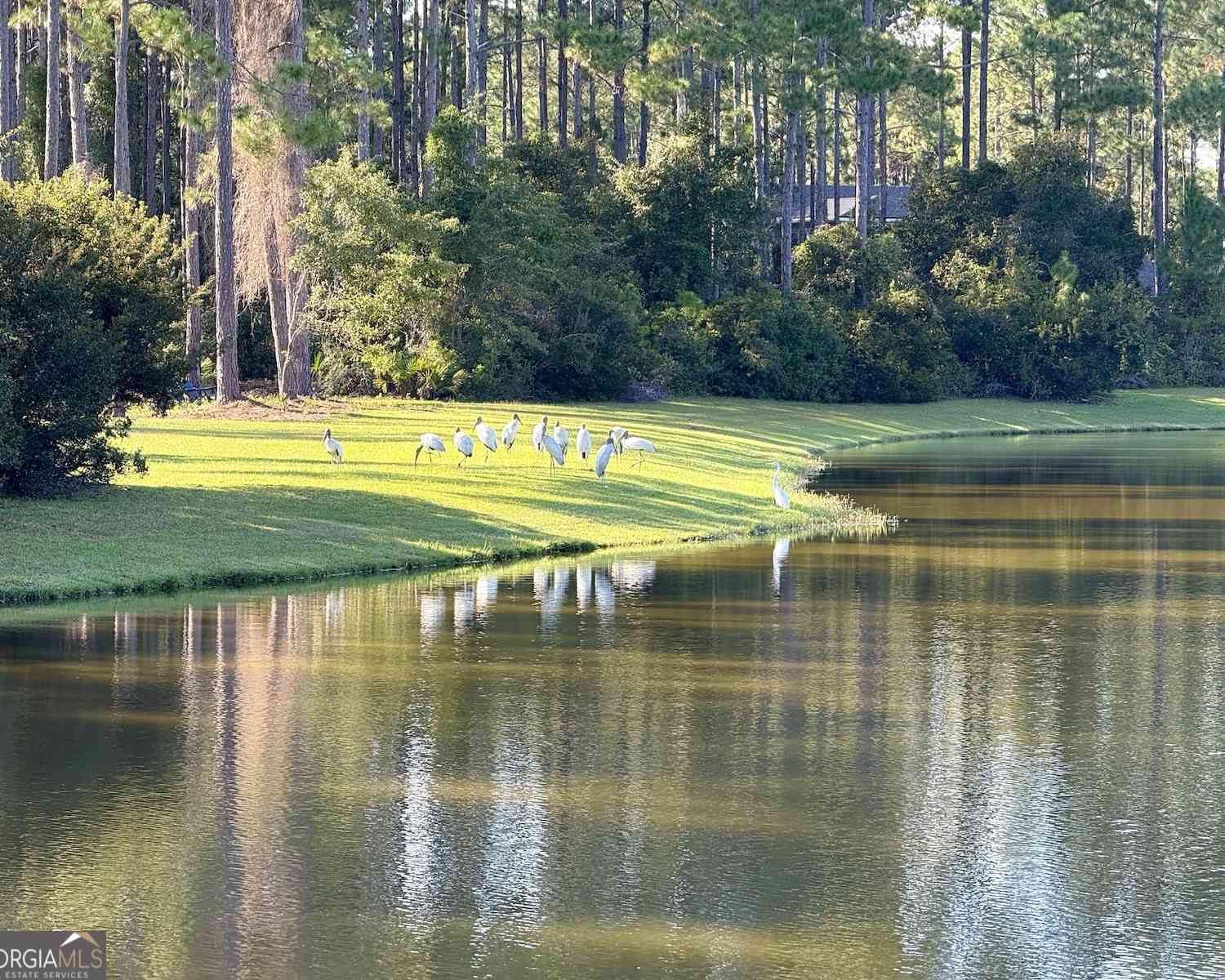 Vacant Land For Sale - 209 Placid Road<br/> Saint Marys, GA 31558